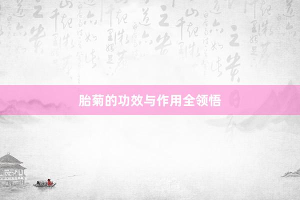 胎菊的功效与作用全领悟