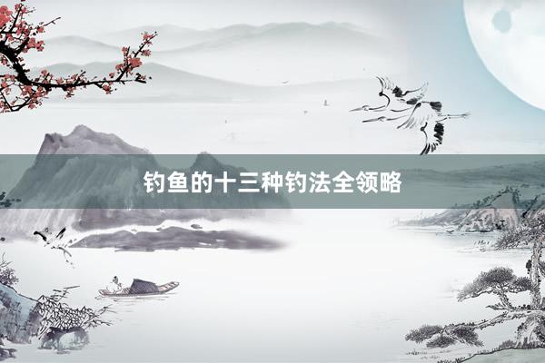 钓鱼的十三种钓法全领略