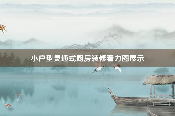 小户型灵通式厨房装修着力图展示